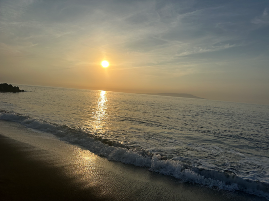 熱川大和館 クーポン