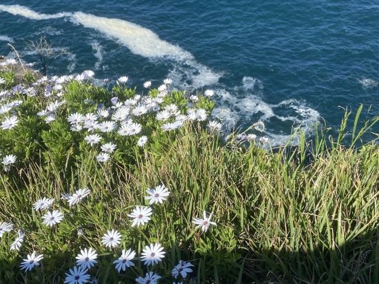 YEHS飯店-雪梨CBD優惠