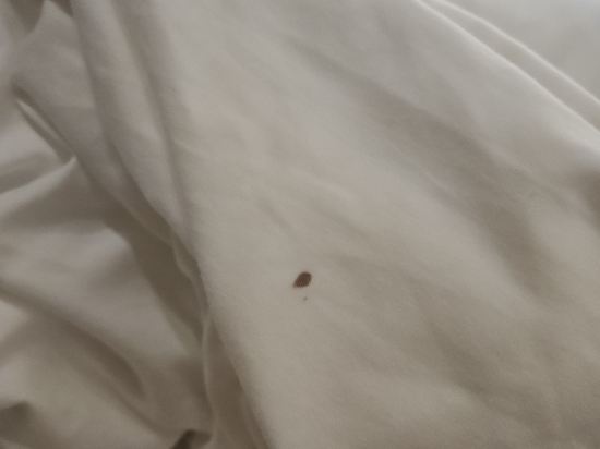 香港頤庭酒店（銅鑼灣店）優惠