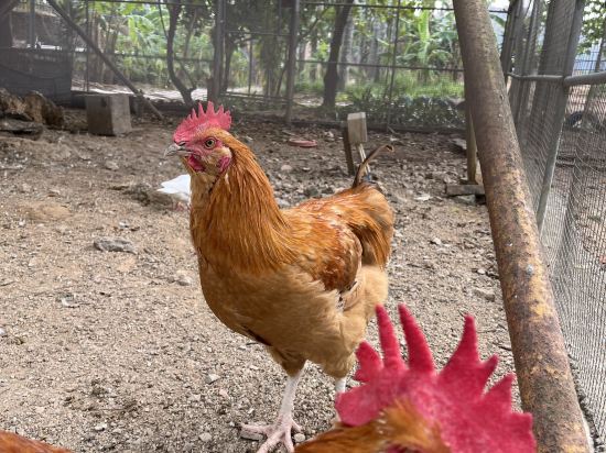 中山温泉賓館優惠