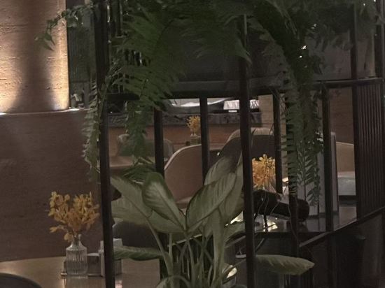 上海靜安鉑爾曼酒店優惠