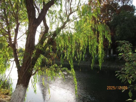 上海中山公園雲睿酒店優惠