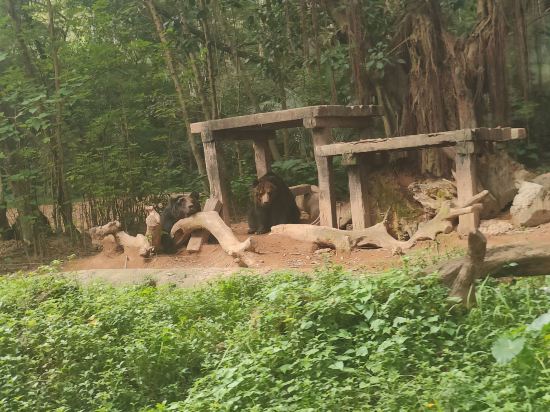 長隆香江酒店（廣州長隆野生動物世界店）優惠