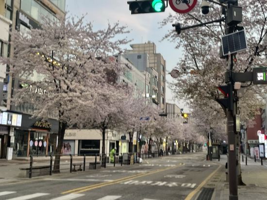 호텔 포레스타 신촌 쿠폰