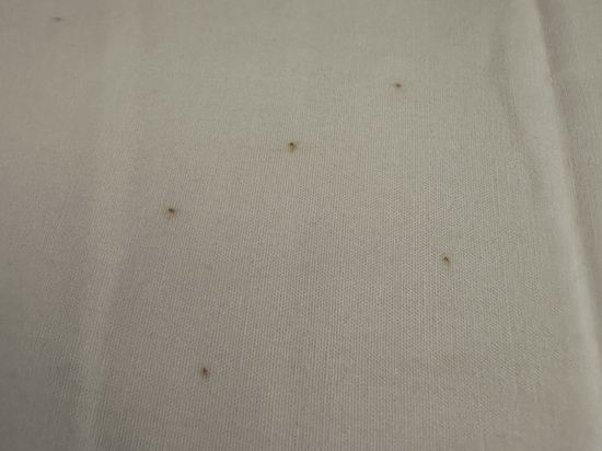 호텔 마누 쿠폰