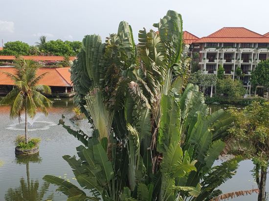 峇裡島阿優達度假飯店優惠