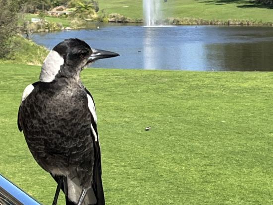 MGSM行政酒店優惠