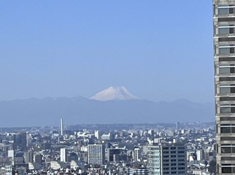 東京京王廣場酒店優惠