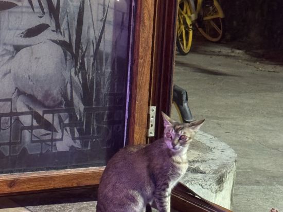 藍天國際青年旅舍（三亞大東海店）優惠