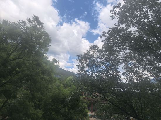 廣州從都國際莊園優惠