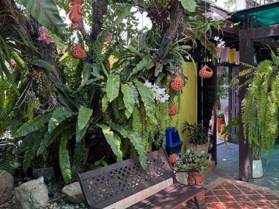 清邁維達拉泳池SPA度假飯店優惠