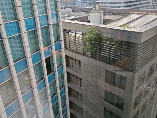 格拉斯麗首爾酒店優惠