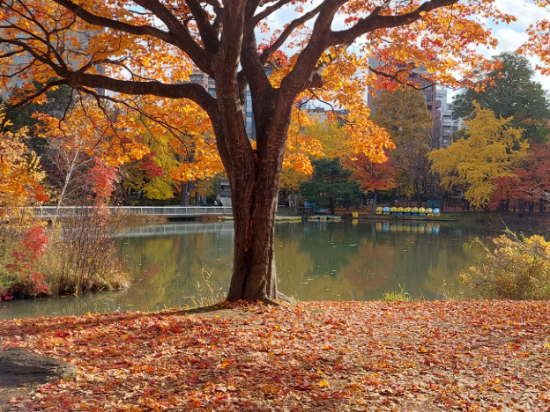 札幌エクセルホテル東急 クーポン