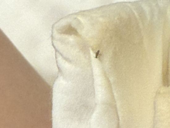 台北鉑泊客優惠