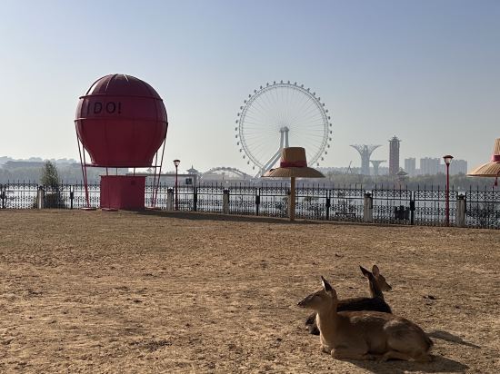 唐山國豐維景國際大酒店優惠