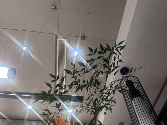 上海靜安鉑爾曼酒店優惠