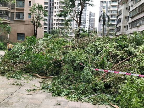 廣州華師大廈優惠