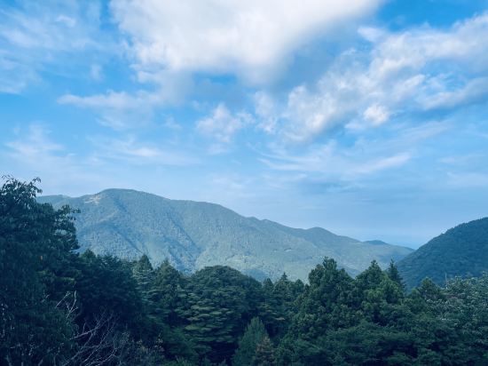 箱根料理宿　弓庵 クーポン