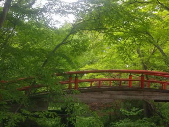 伊香保 グランド ホテル クーポン