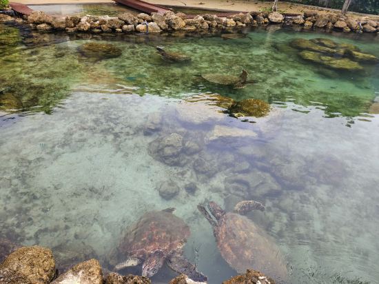 マリンピアザオキナワ クーポン