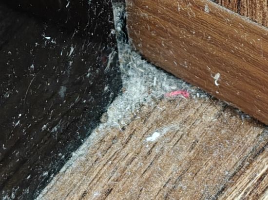 金越南飯店優惠