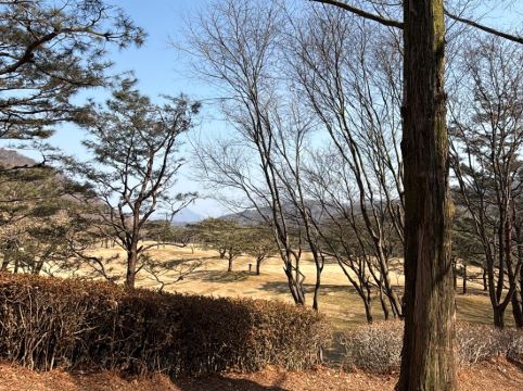소노펠리체 비발디파크 쿠폰