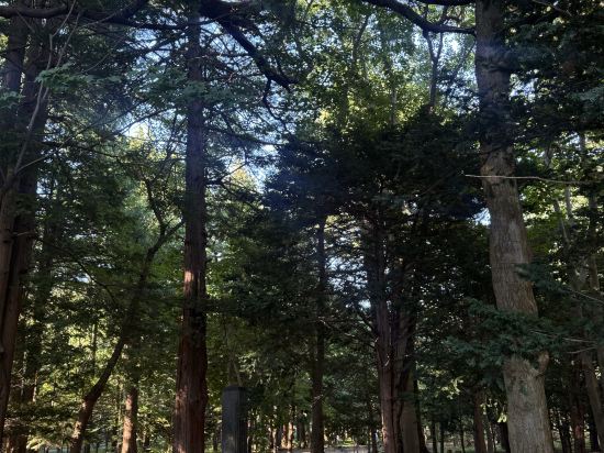 札幌大通公園景觀酒店優惠