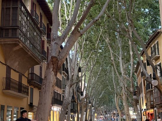 帕爾馬灣美利亞酒店優惠