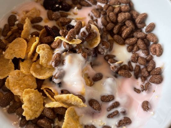 墨西哥城中心酒店優惠