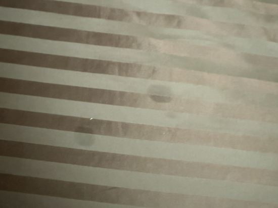 ホテルクリオコート博多 クーポン