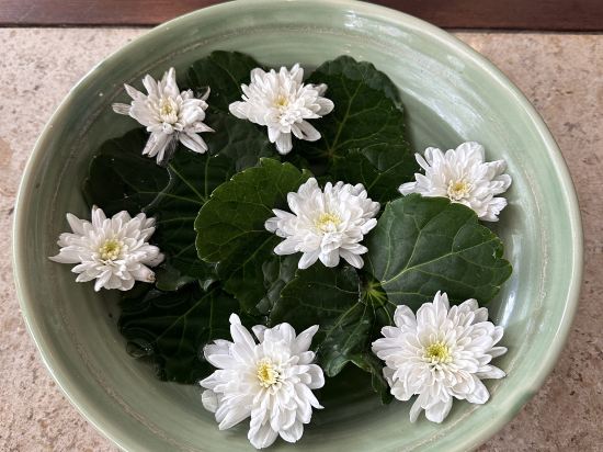 布吉希爾頓阿卡迪亞温泉度假酒店 （SHA Extra Plus）優惠