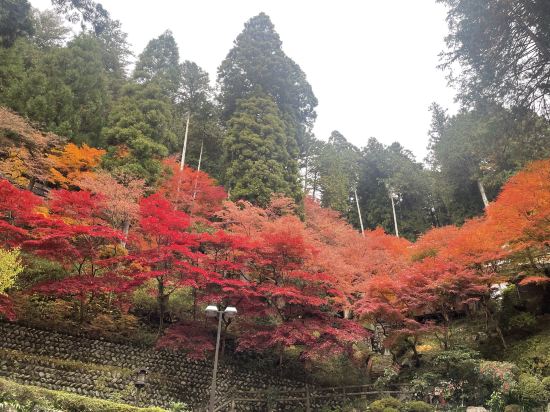 下呂溫泉 湯之島館優惠