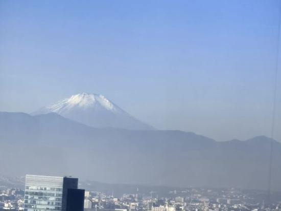 東京新大谷酒店花園塔酒店優惠