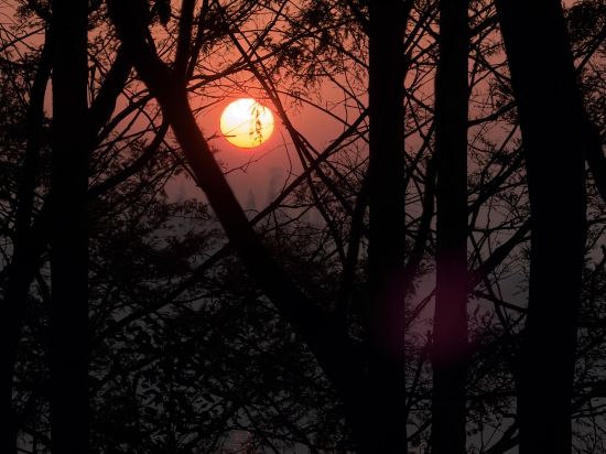 中信泰富朱家角錦江飯店優惠