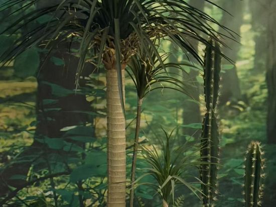 義烏博覽皇冠假日酒店優惠