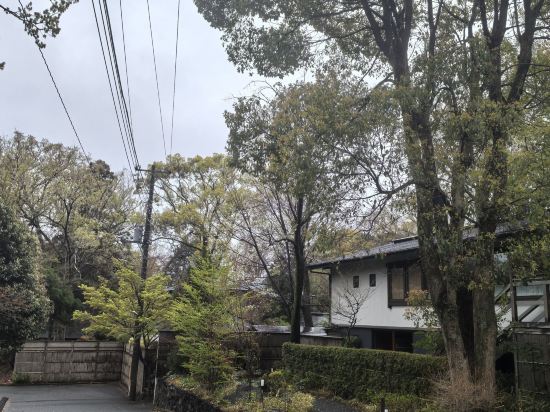 伊豆高原 城ケ崎温泉 花吹雪 クーポン