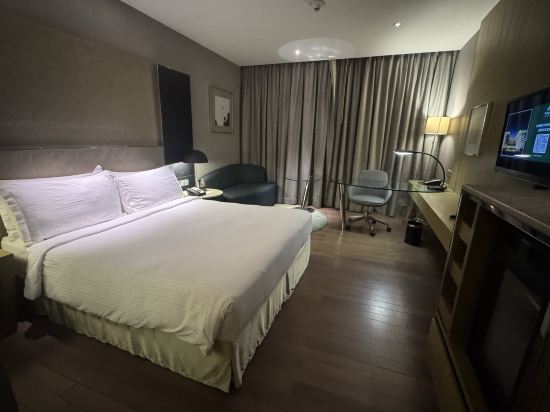 新德里國際機場假日旅館優惠