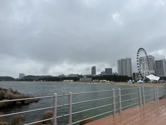 팜파스 리조트 쿠폰