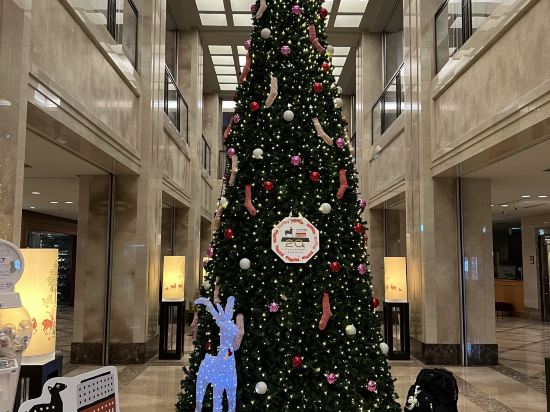 奈良日航國際酒店優惠