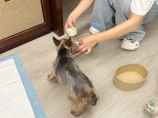 上海靜安紫苑飯店式公寓優惠