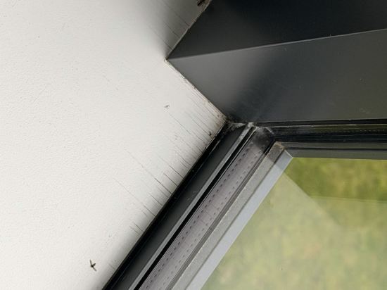 皇后鎮湖岸盛橡度假飯店優惠