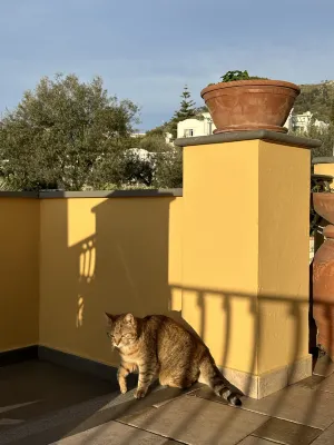 Hotel Villa Ceselle Photos