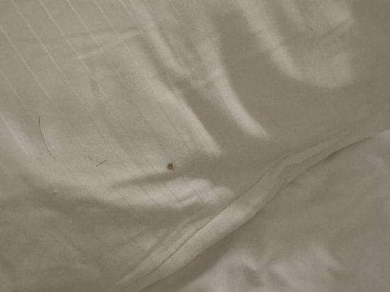 卑爾根機場舒適飯店優惠