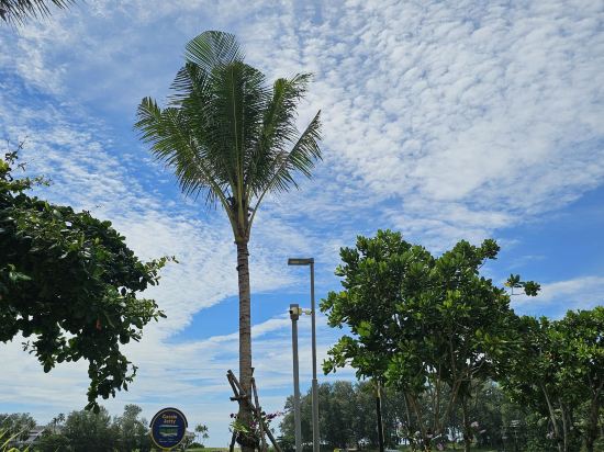 普吉島悅槤優惠