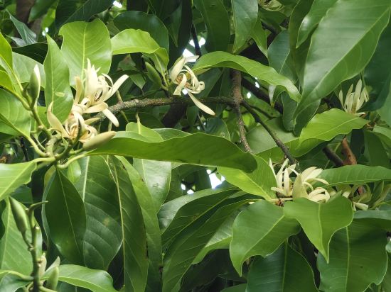 麗江古城瀾舍設計師公館客棧優惠