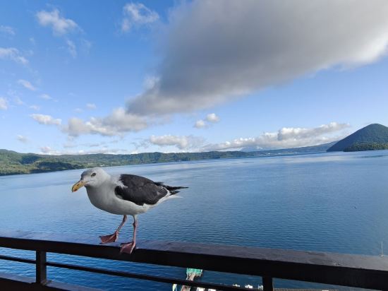 洞爺湖万世閣ホテル レイクサイドテラス クーポン