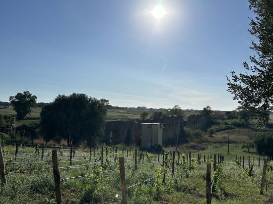 東羅馬希爾頓歡朋酒店優惠