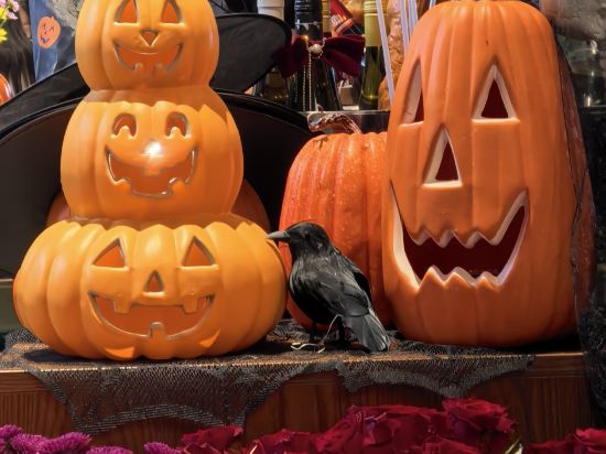 宿適輕奢飯店（上海南京西路地鐵站店）優惠