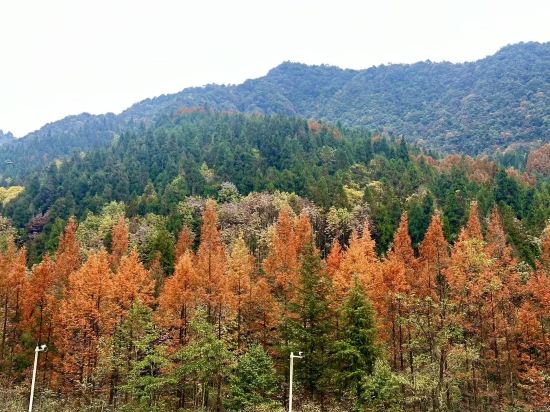 花水灣第一村温泉大酒店優惠