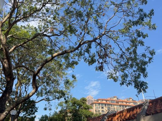 珠海賓薈灣酒店（暨南大學店）優惠